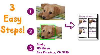 How to create your free, instant dog identification card and cat identification card